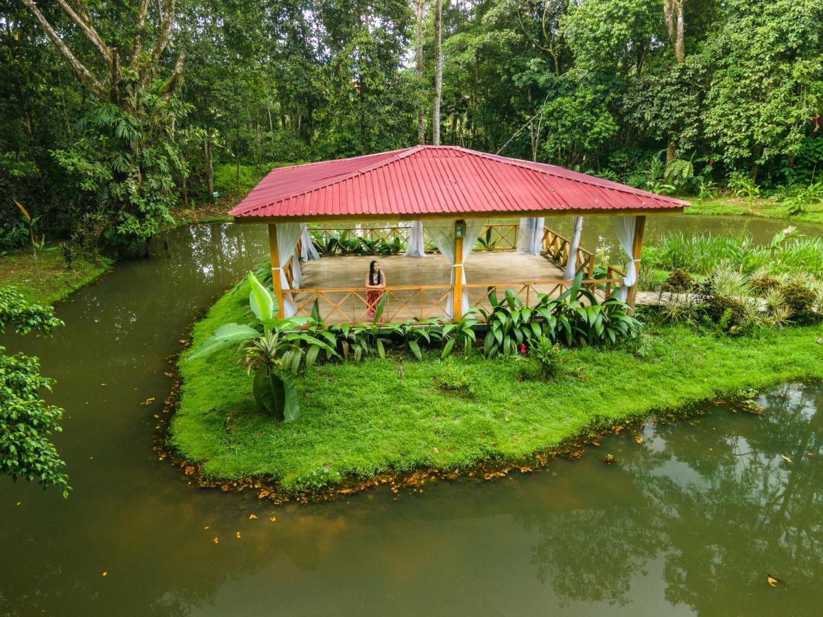 Ara Ambigua Lodge Sarapiquí Екстериор снимка