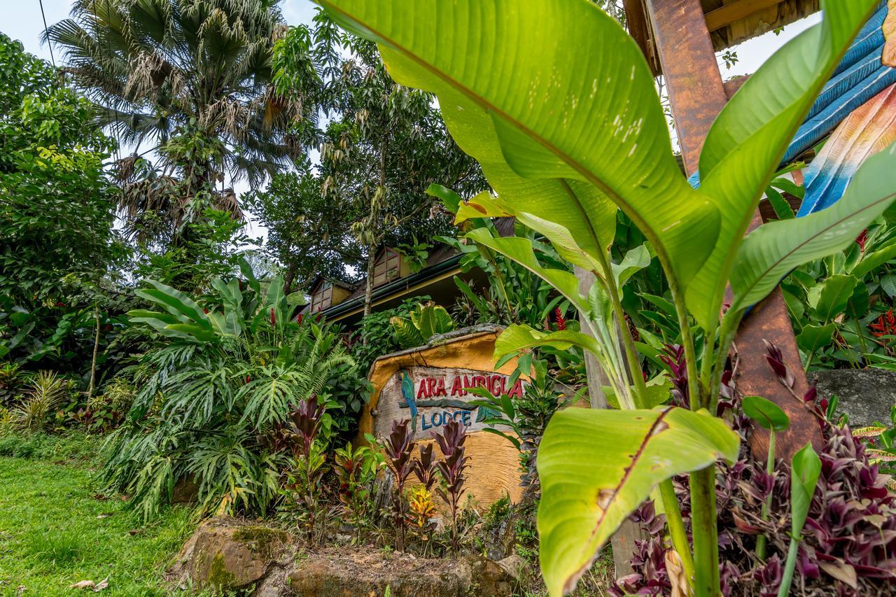 Ara Ambigua Lodge Sarapiquí Екстериор снимка